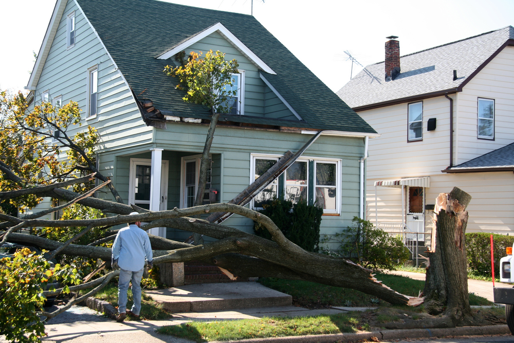 House damaged by tree collapse due to storm